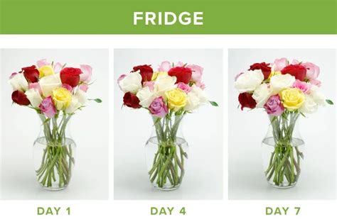 How Long Do Flowers Last in Floral Foam: A Detailed Exploration