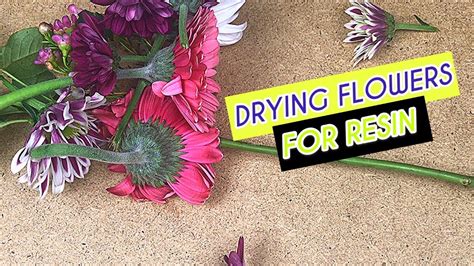 How to Dry Flowers for Resin: A Detailed Guide with Multiple Perspectives