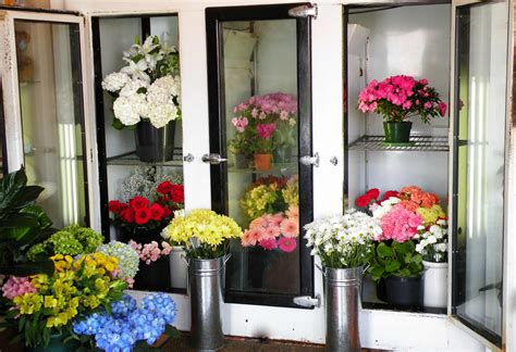 how to store flowers in fridge for long time how to choose the best type of flower to store in a fridge