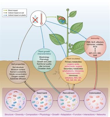 is bleach good for flowers: Is it possible that the use of bleach in gardening could affect not only flowers but also the soil's microbiome?